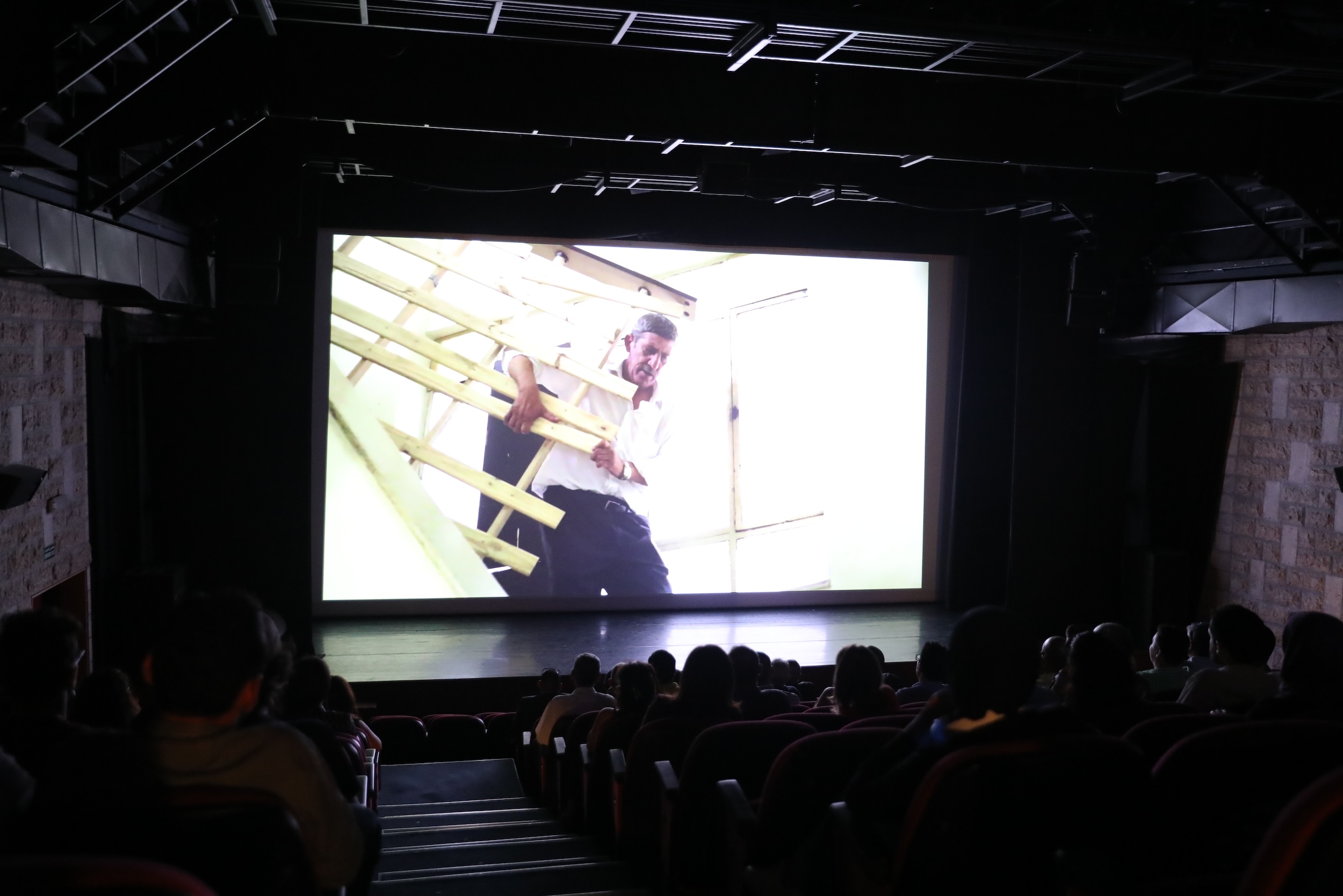Films Screenings 