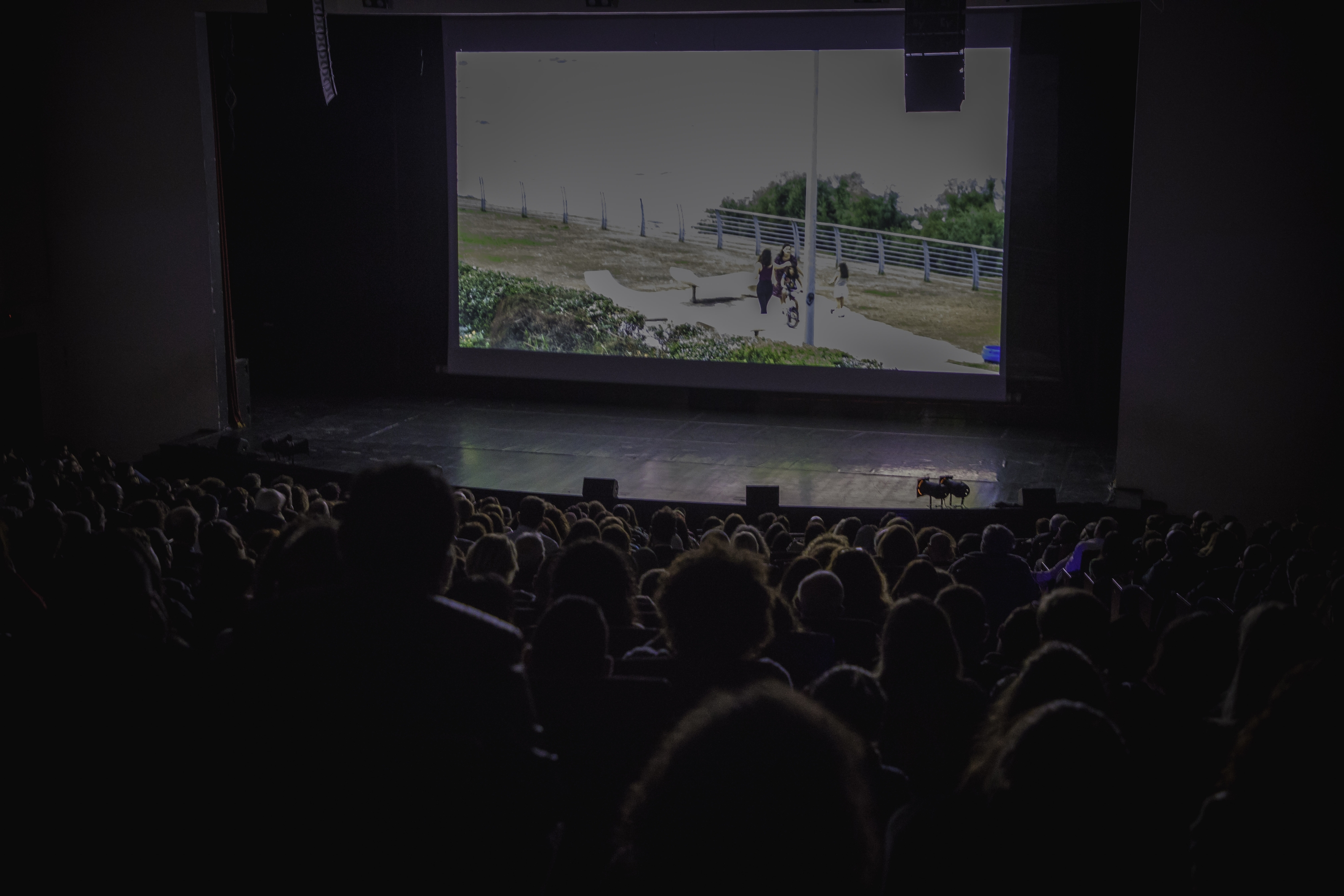 Cinema Culture